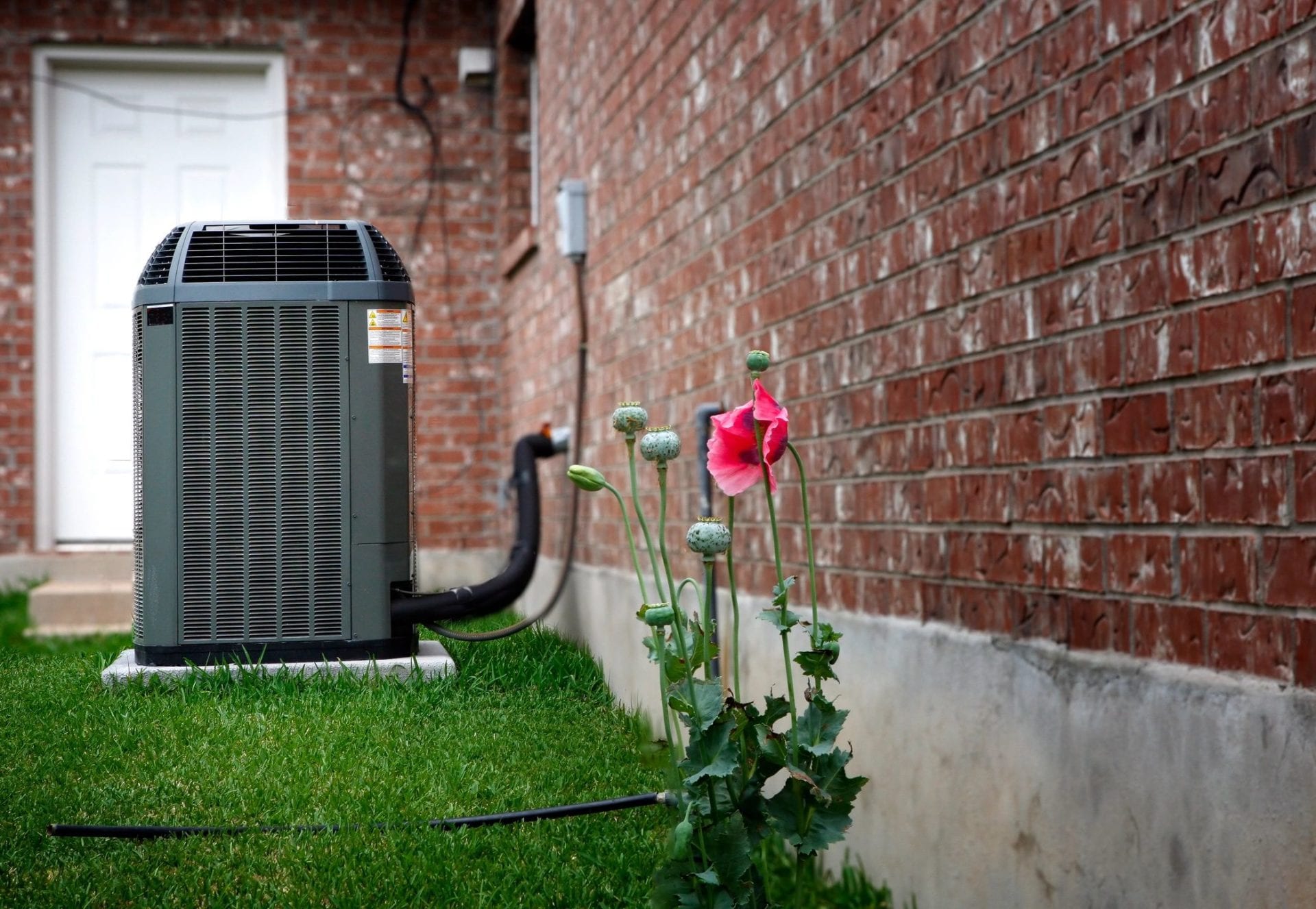 A red flower in front of an air conditioner.